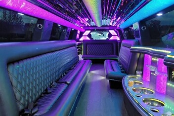 Bonita Springs Limo Interior